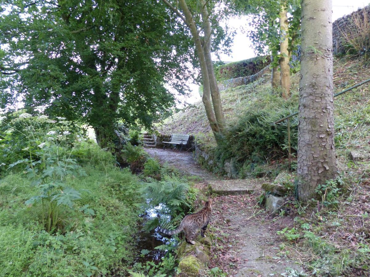 Relax In A 1 Bedroom Apartment Near A Country Pub Eyemouth Kültér fotó